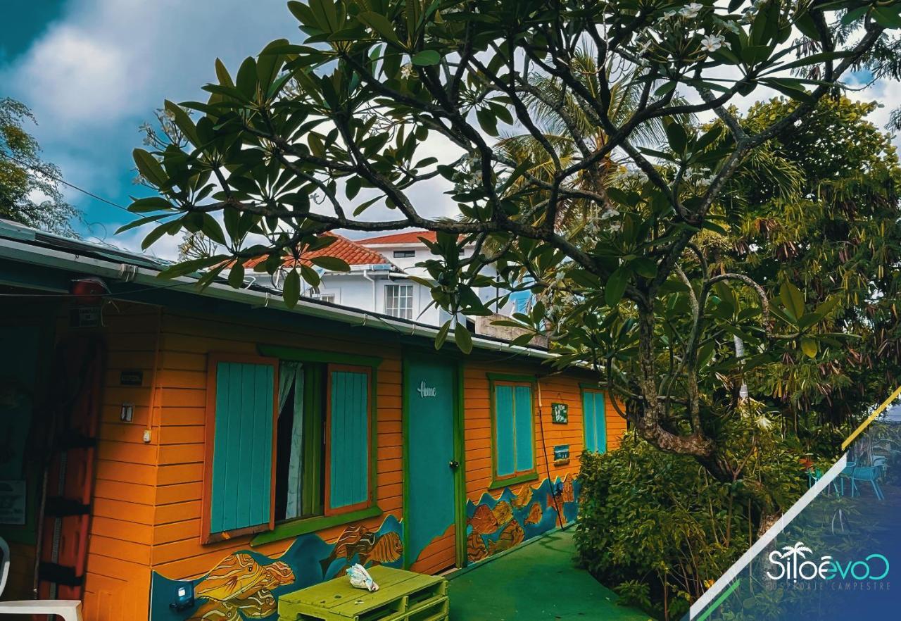 San Andres Scuba Boutique Campestre酒店 外观 照片